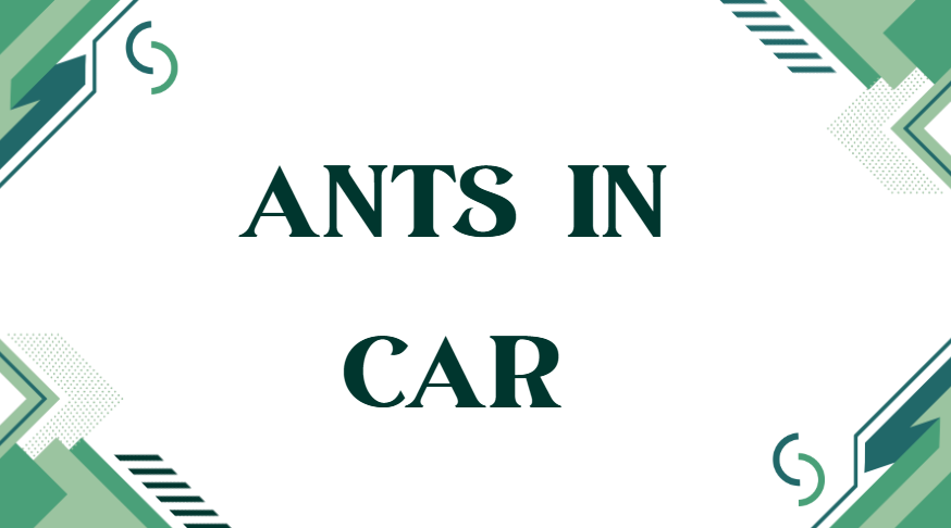 ants in car