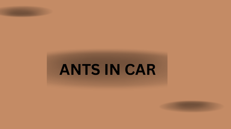ants in car