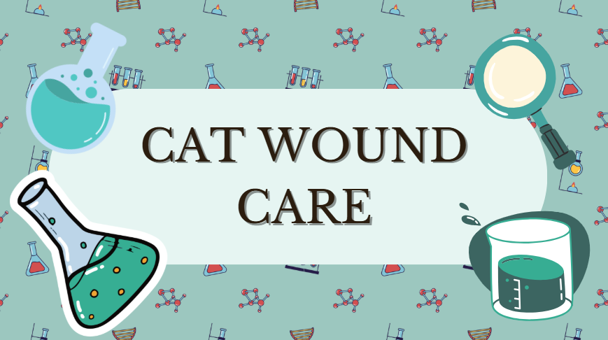 cat wound care